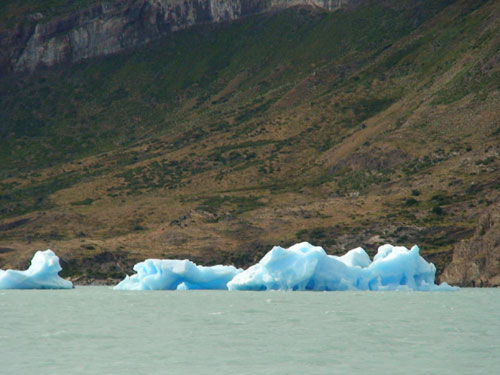 premiers icebergs