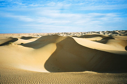 Fes dunes et des dunes